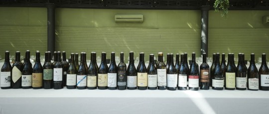 serralunga day barolo barbaresco 11