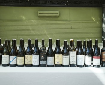 serralunga day barolo barbaresco 11