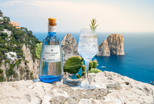 Copertina Gin Mare Capri e Giardino Mediterraneo