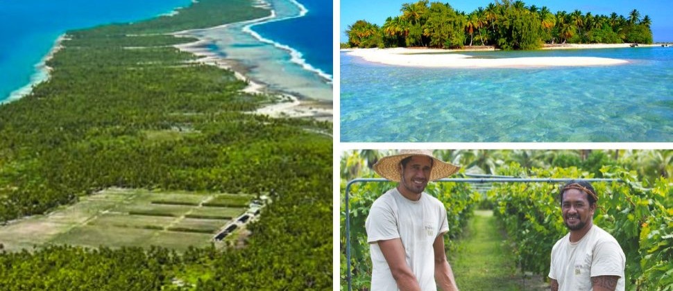 copertina vin de tahiti atollo polinesia